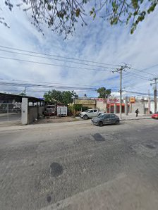 Car Wash Safari